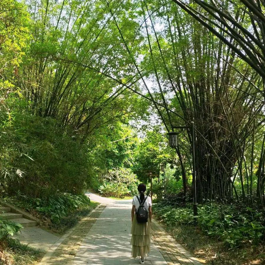 小婷婷