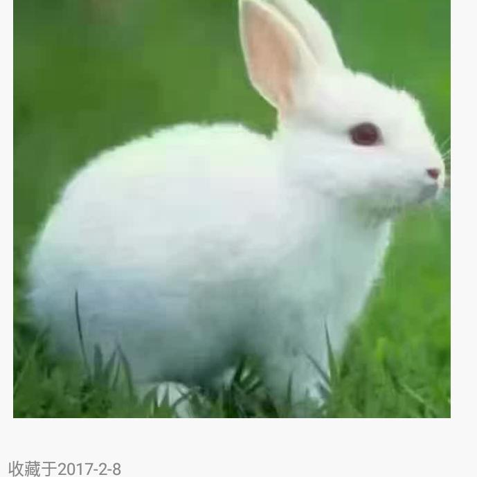 雨后天空