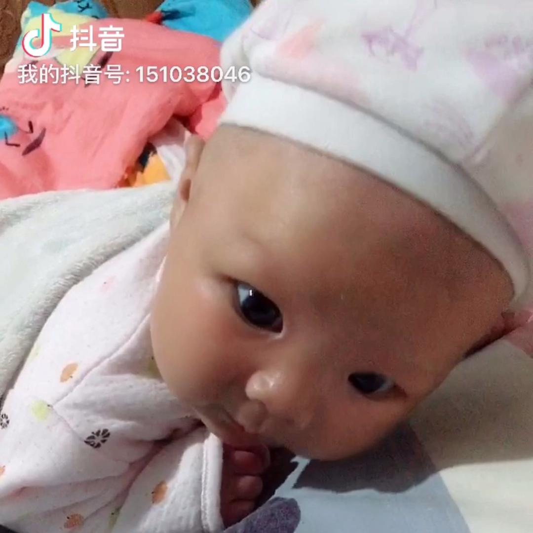 钱塘江的鱼