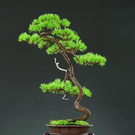 空间有美