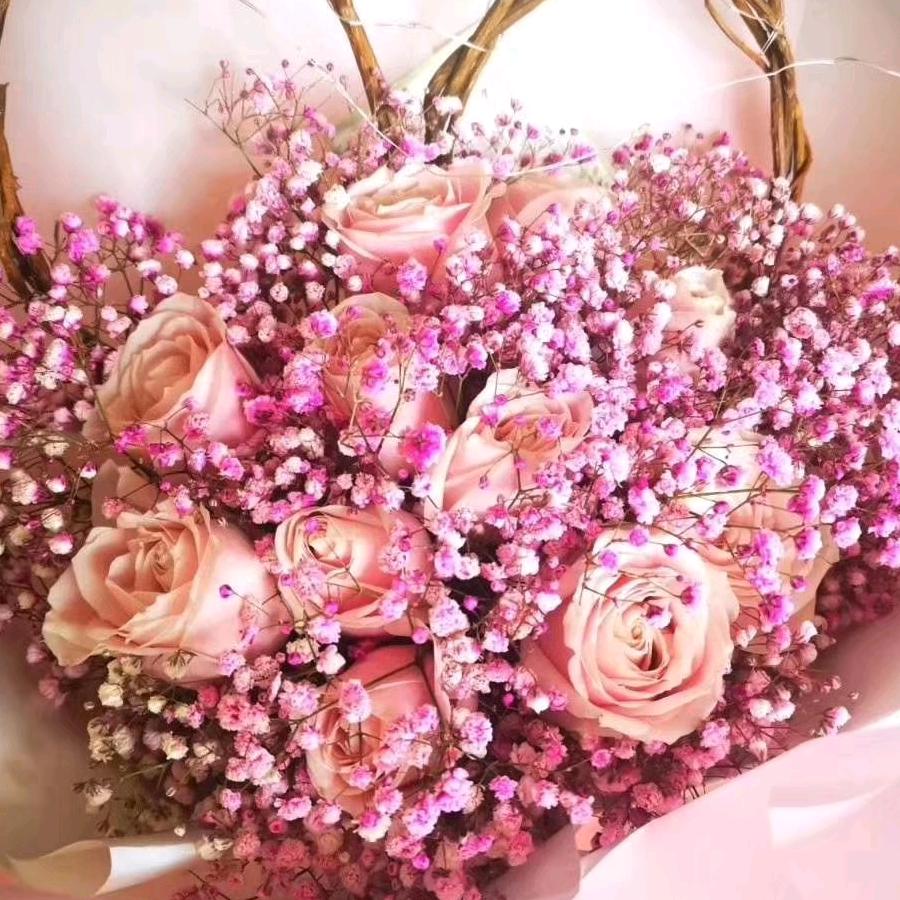 蝶梦恋花