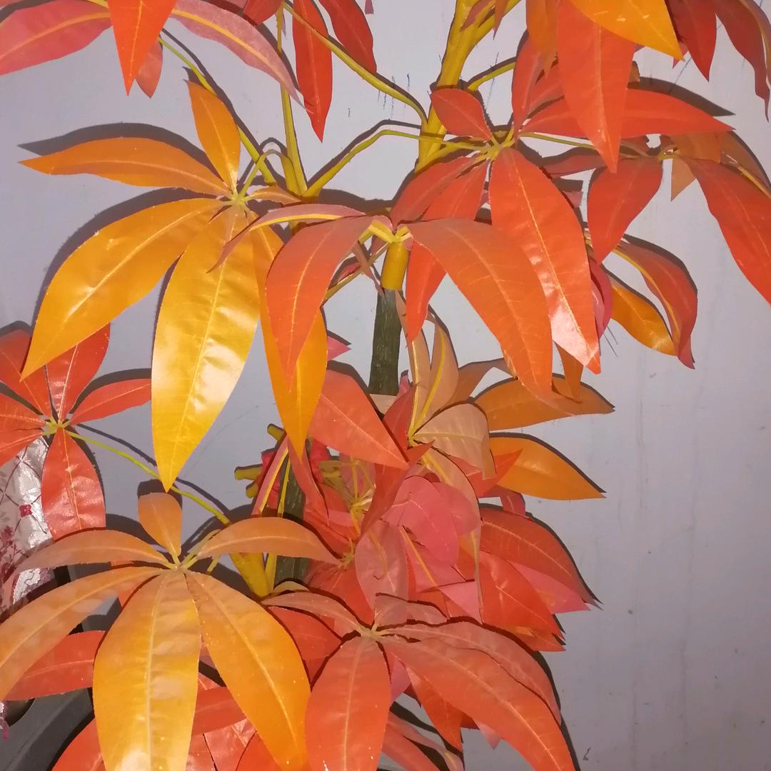 宏辰卤业李河店