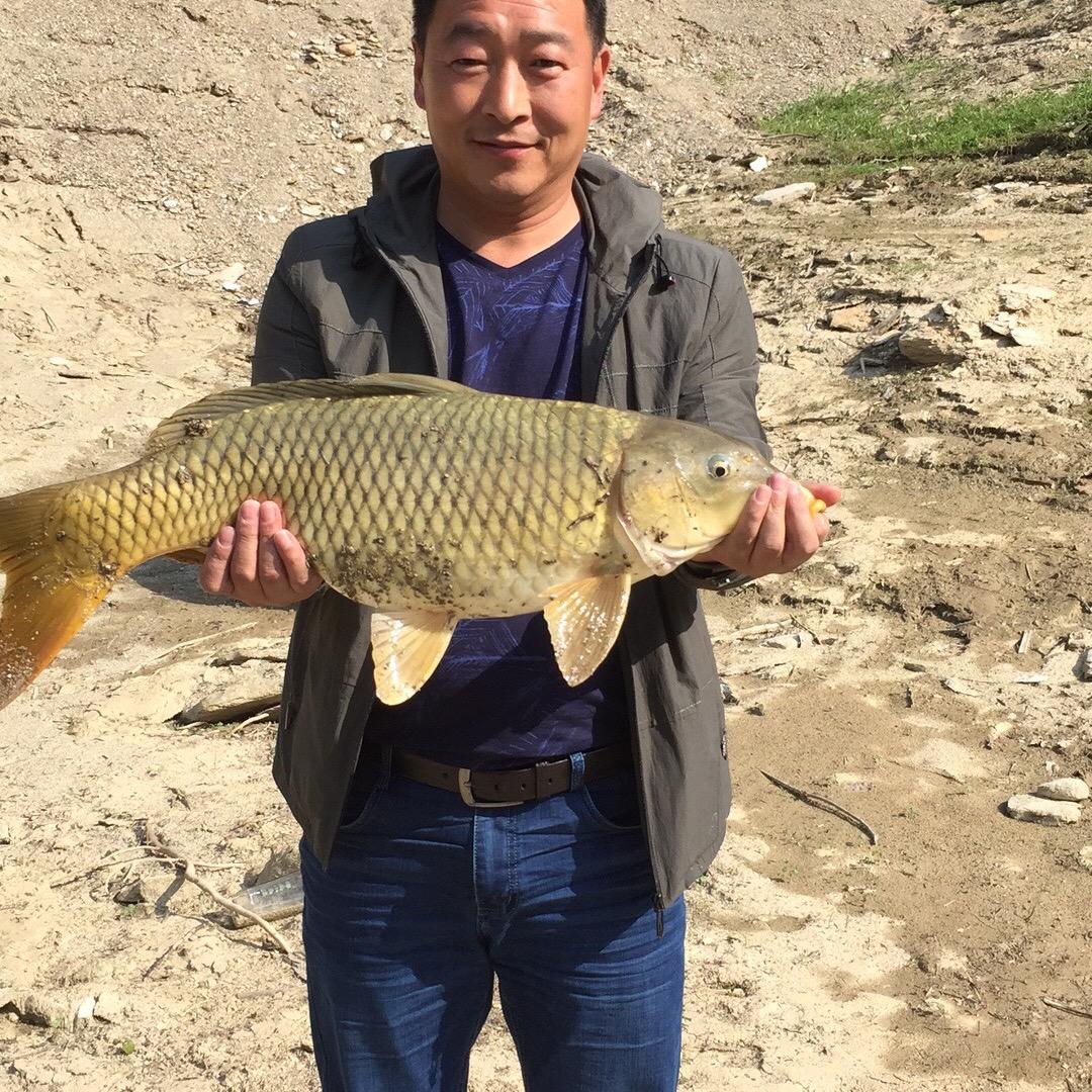 南极之光