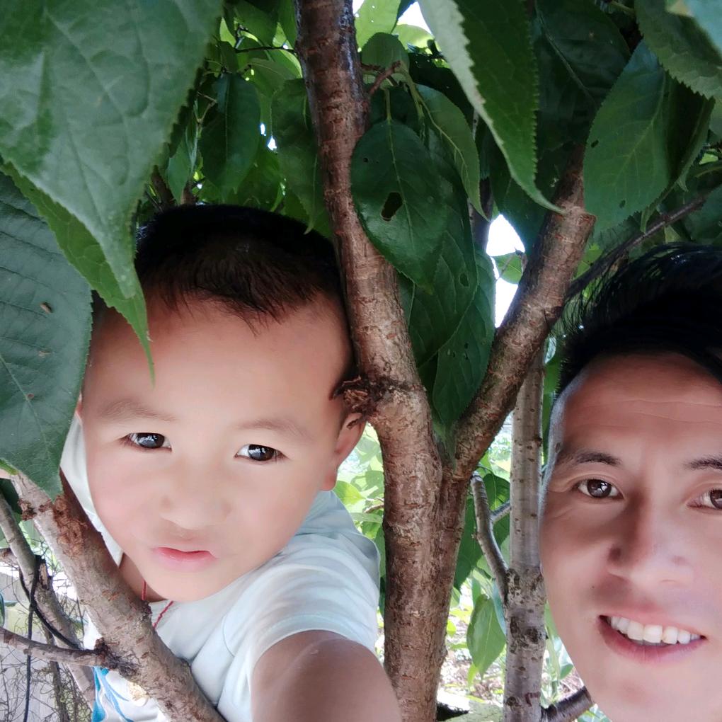 明枪易躲，暗箭难防