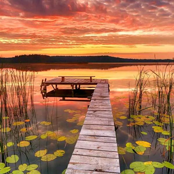 我若成佛，天下无魔，我若成魔佛奈我何