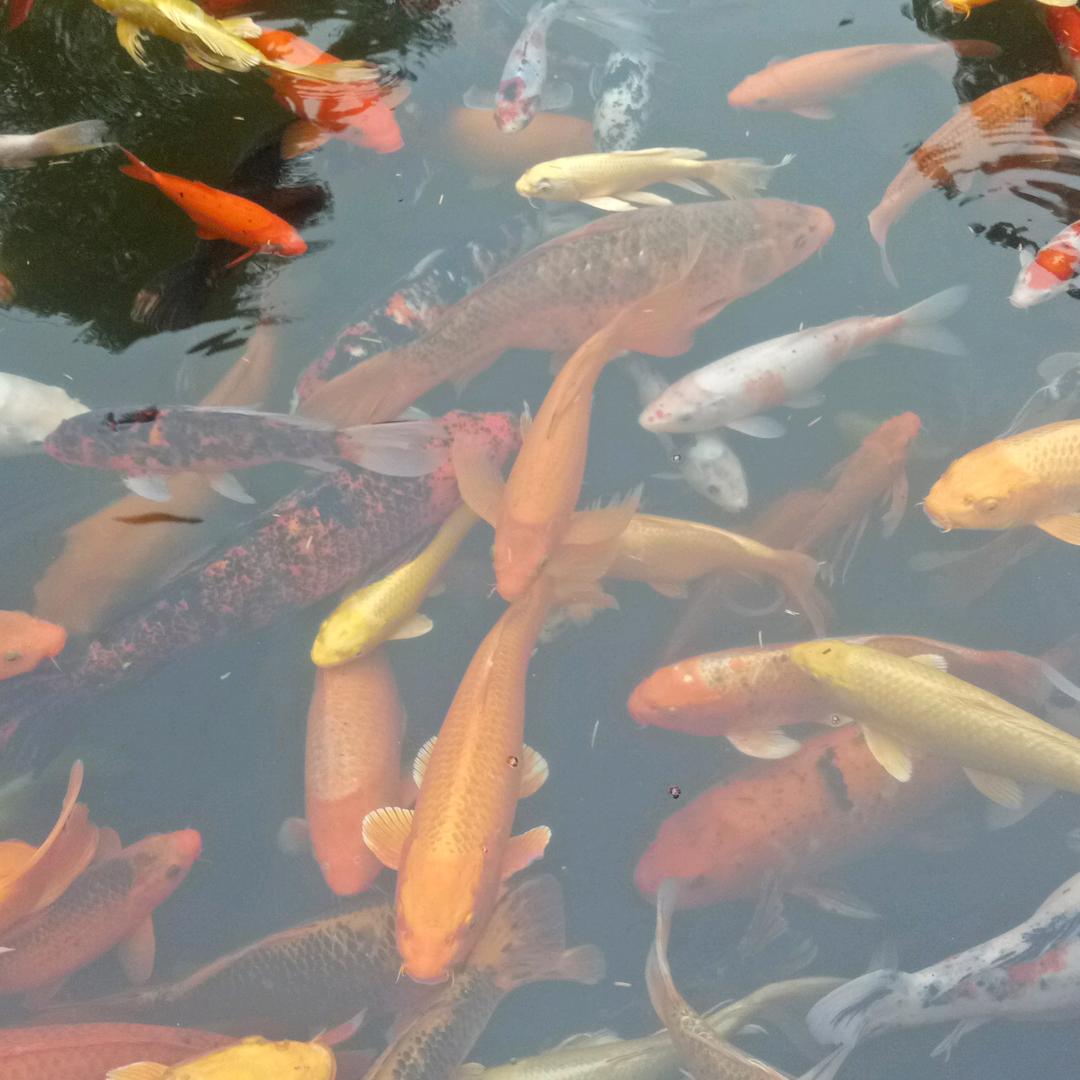 风风火火。