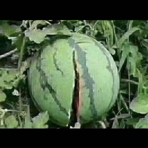 无语