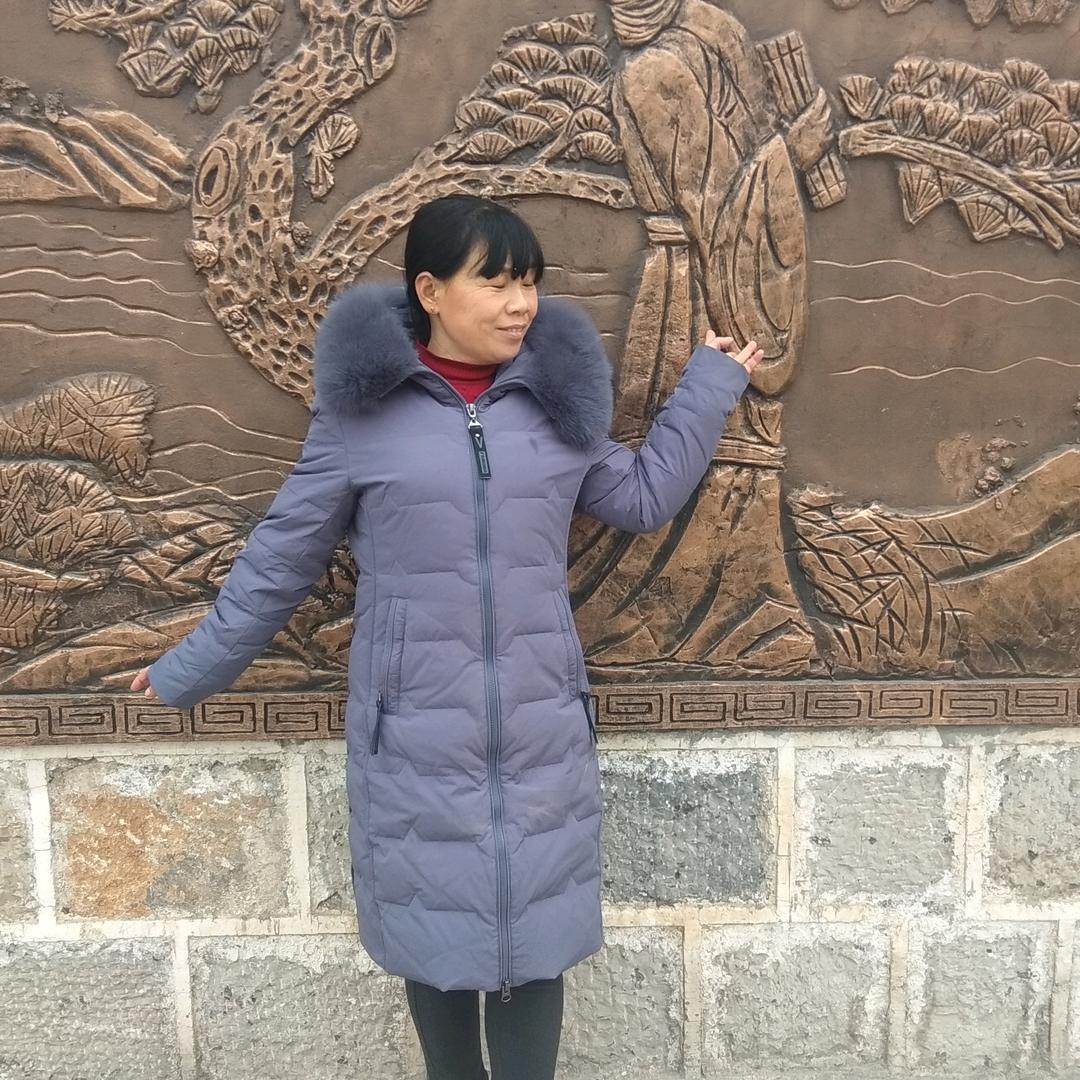 张菊叶
