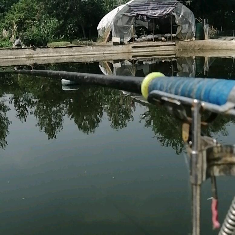 巧克力