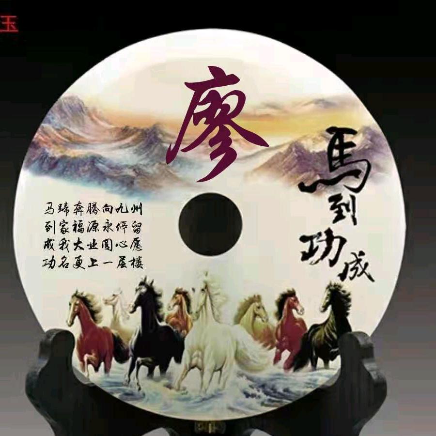 鸿鹄高翔