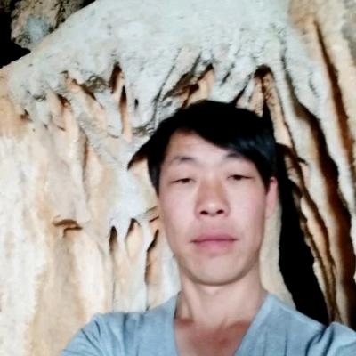 山中木