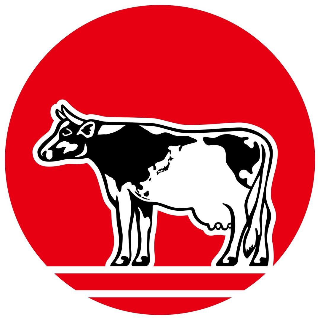 期福(厦门)贸易有限公司767专卖店