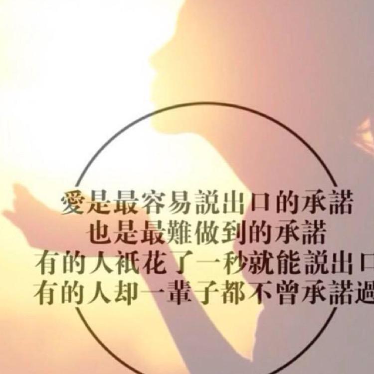思琦