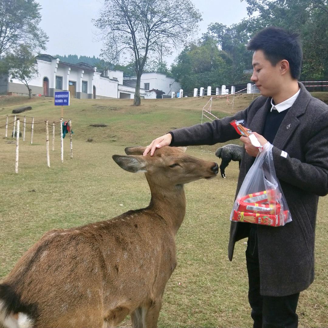 鱼摆摆独一无二