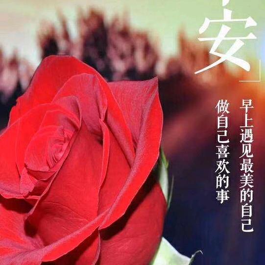 ✨芳芳✨