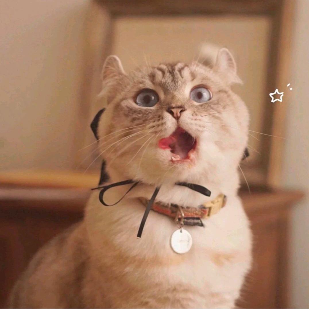 宅若久时自然呆