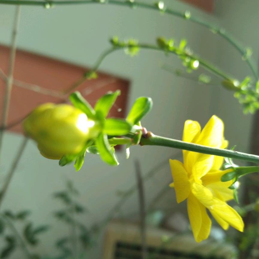 彩砖厂
