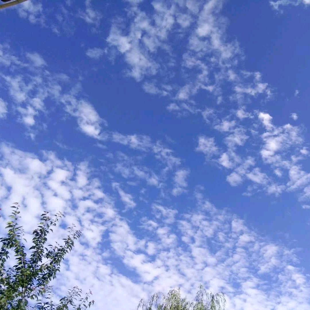 红叶（拒聊）8577