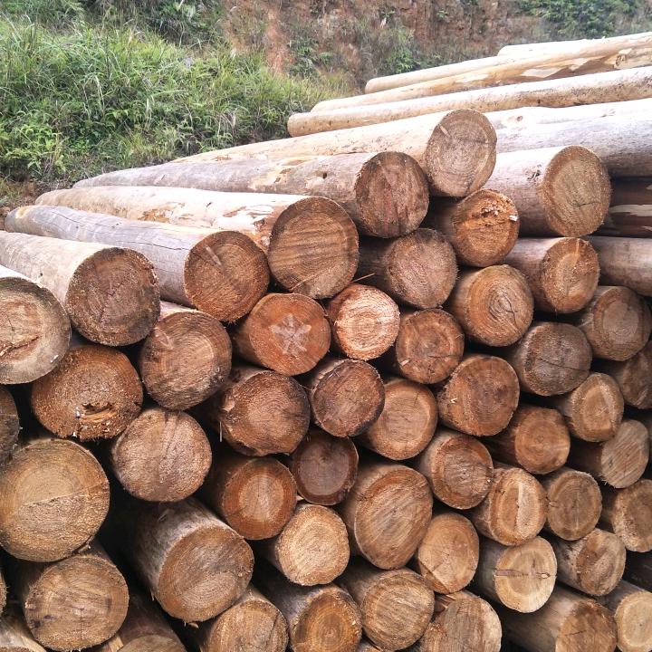 收购4米木材