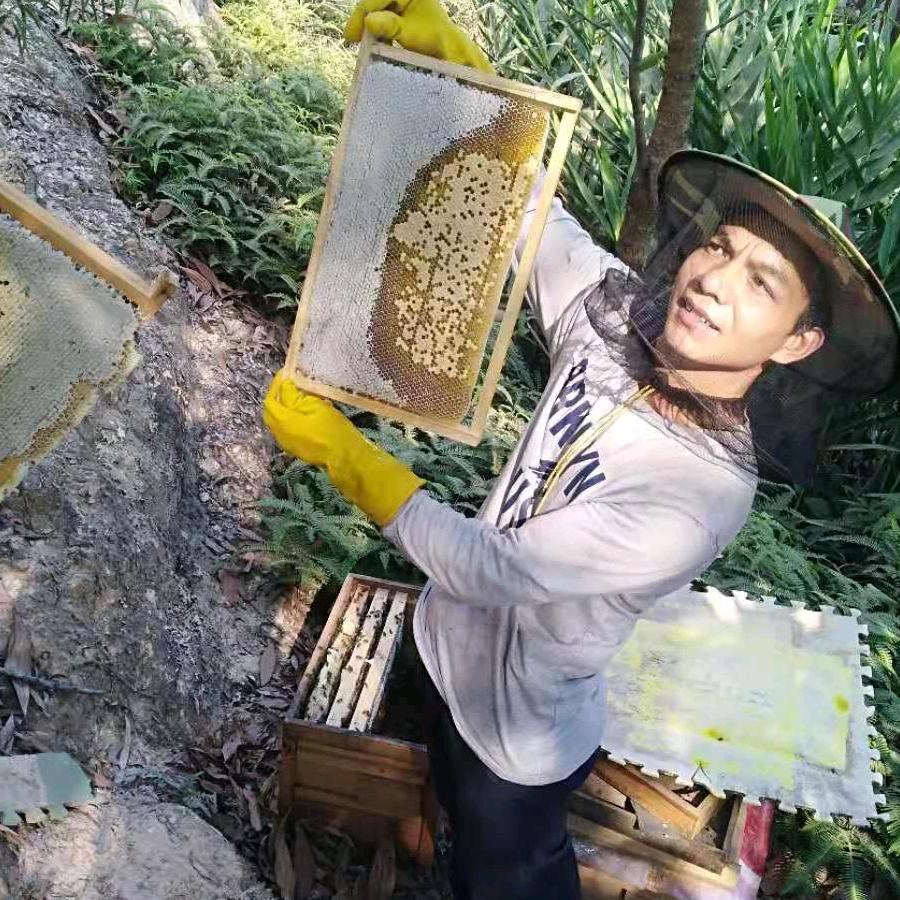 追蜂人文哥