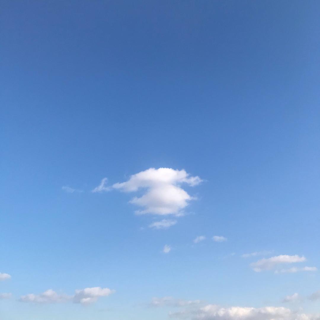 峻迈商贸