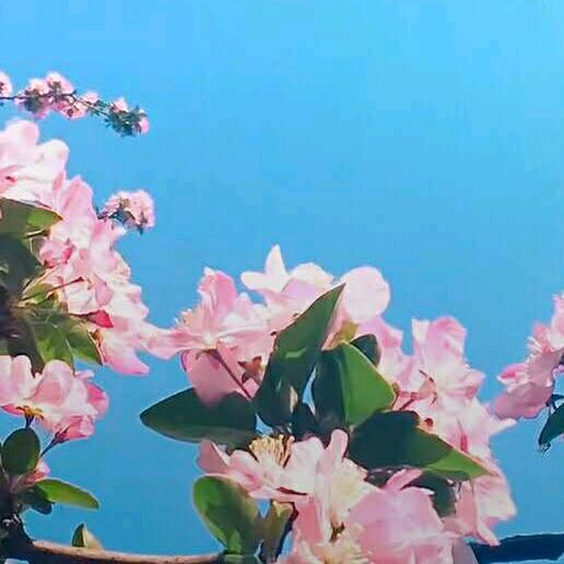 静水微  澜。