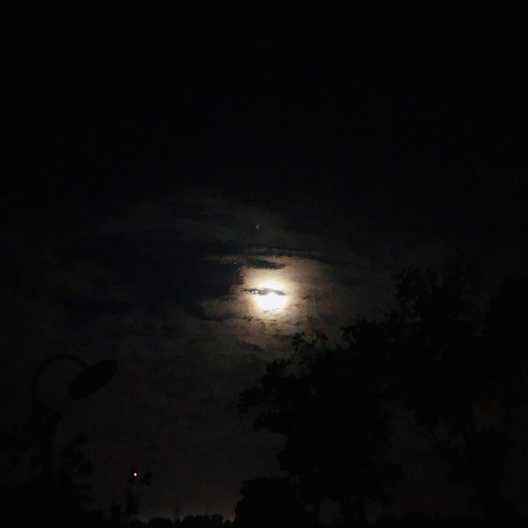 🌙_
