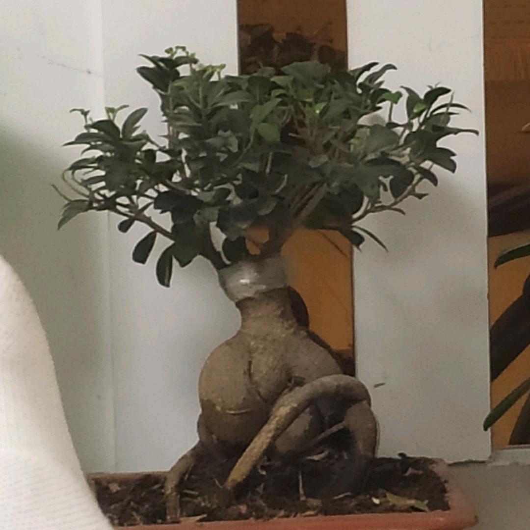 闫究生