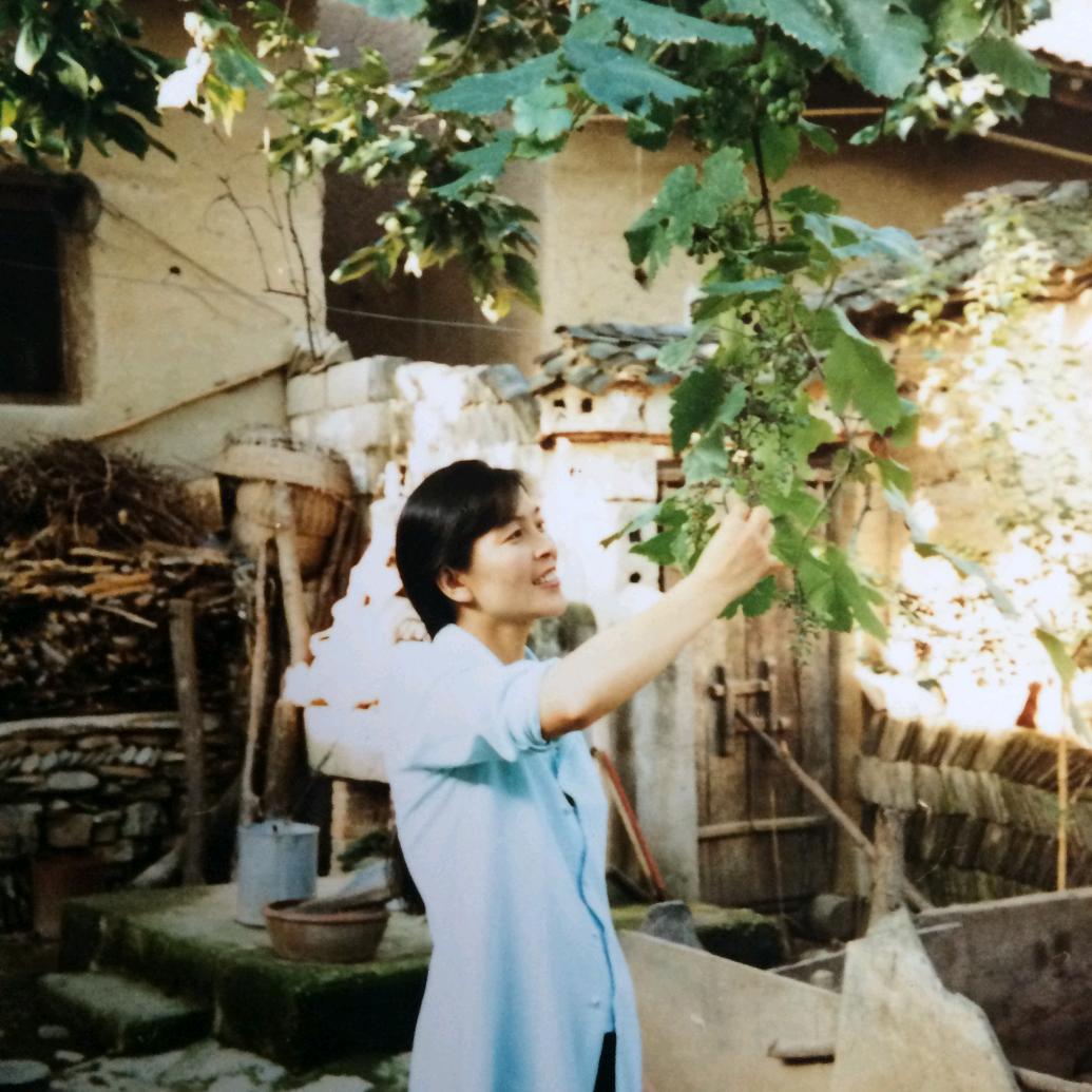 丰淑琴(63年兔)