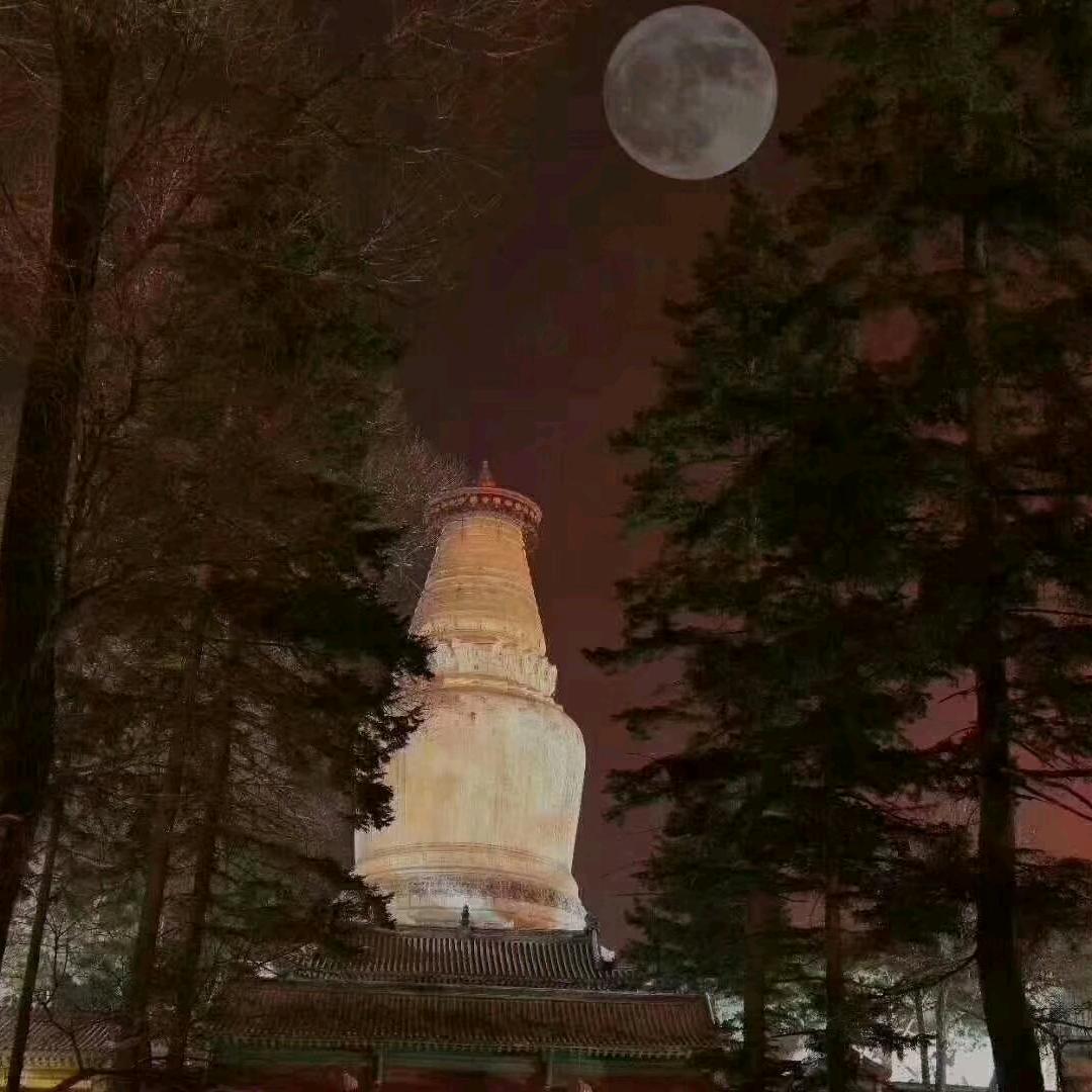 小伙子🔥必定可靠