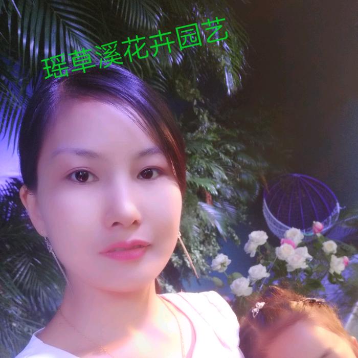 凌云🌺