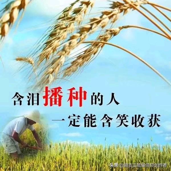 金凯勇哥