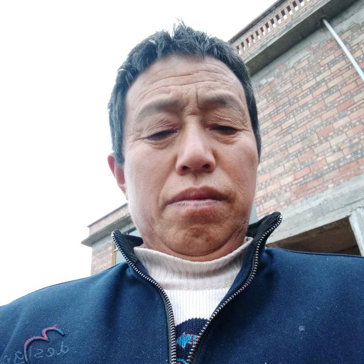 杨天伦