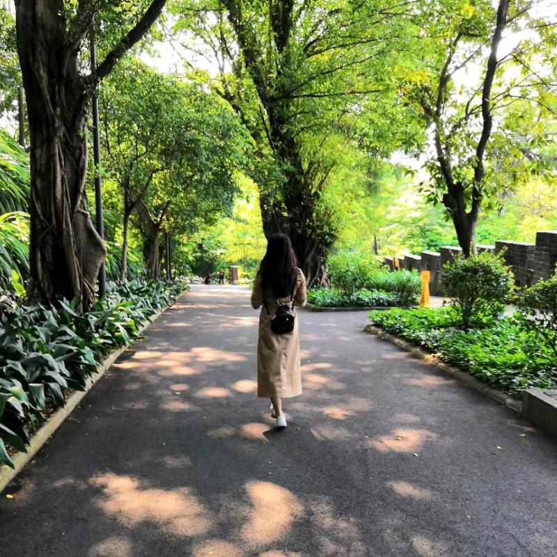 泡泡出游记
