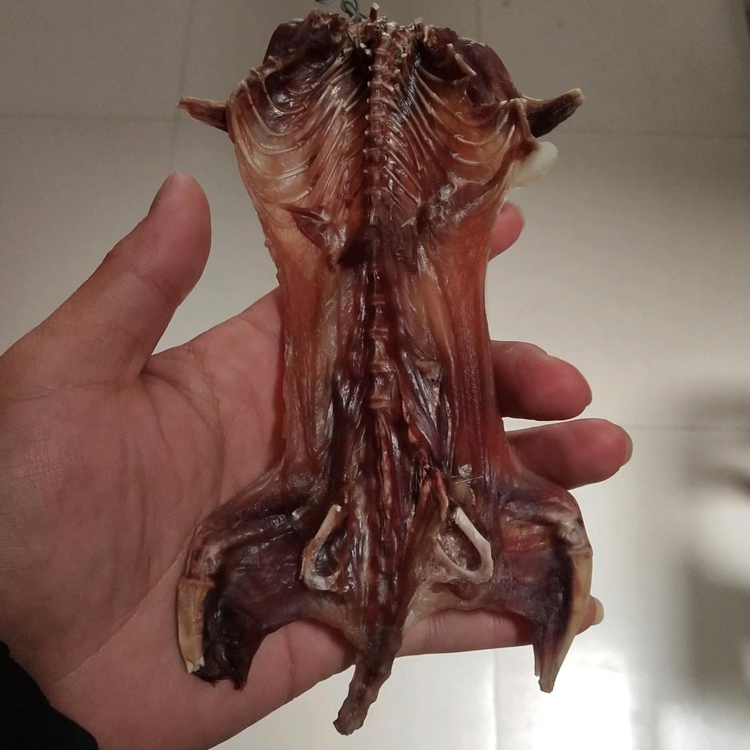 困难户🌿🌿🐂