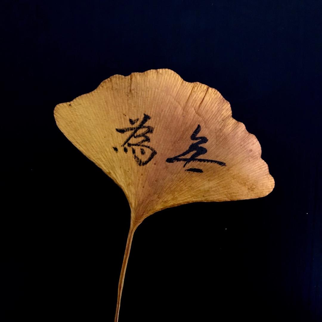 肖锦