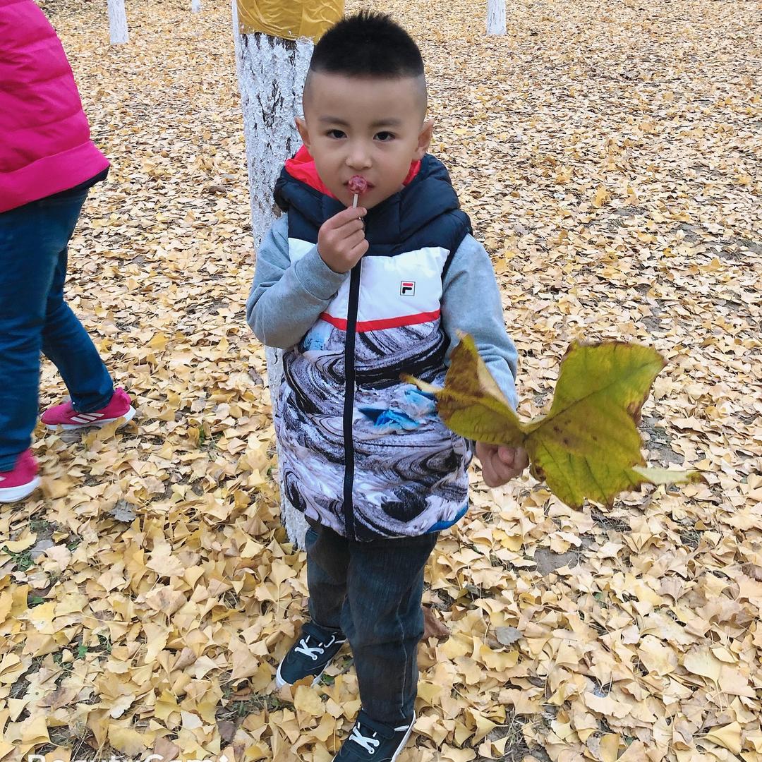 子逸宝贝1
