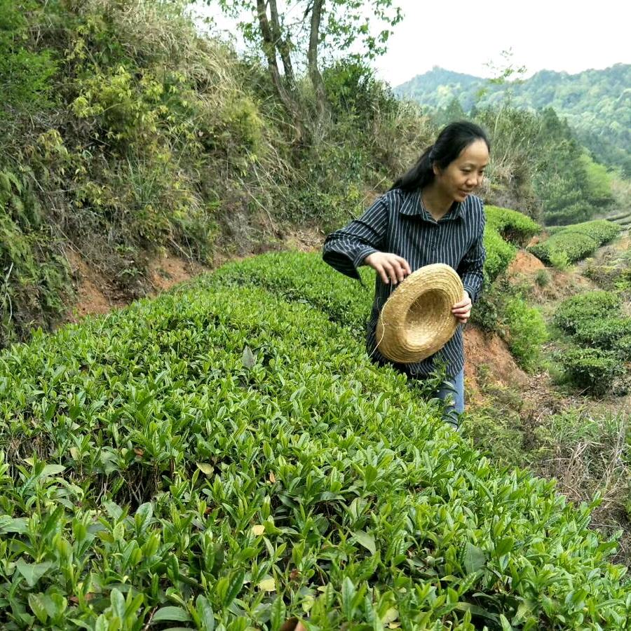 南靖樊丽茶香小铺