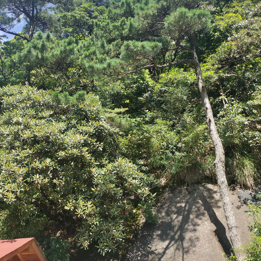 健哥