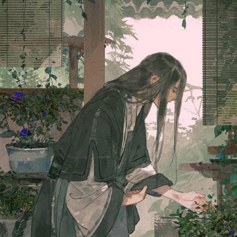 灰灰