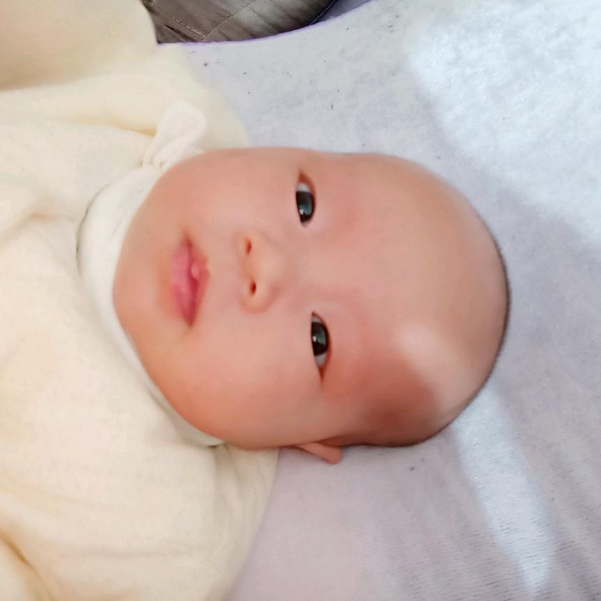 吃苦耐劳
