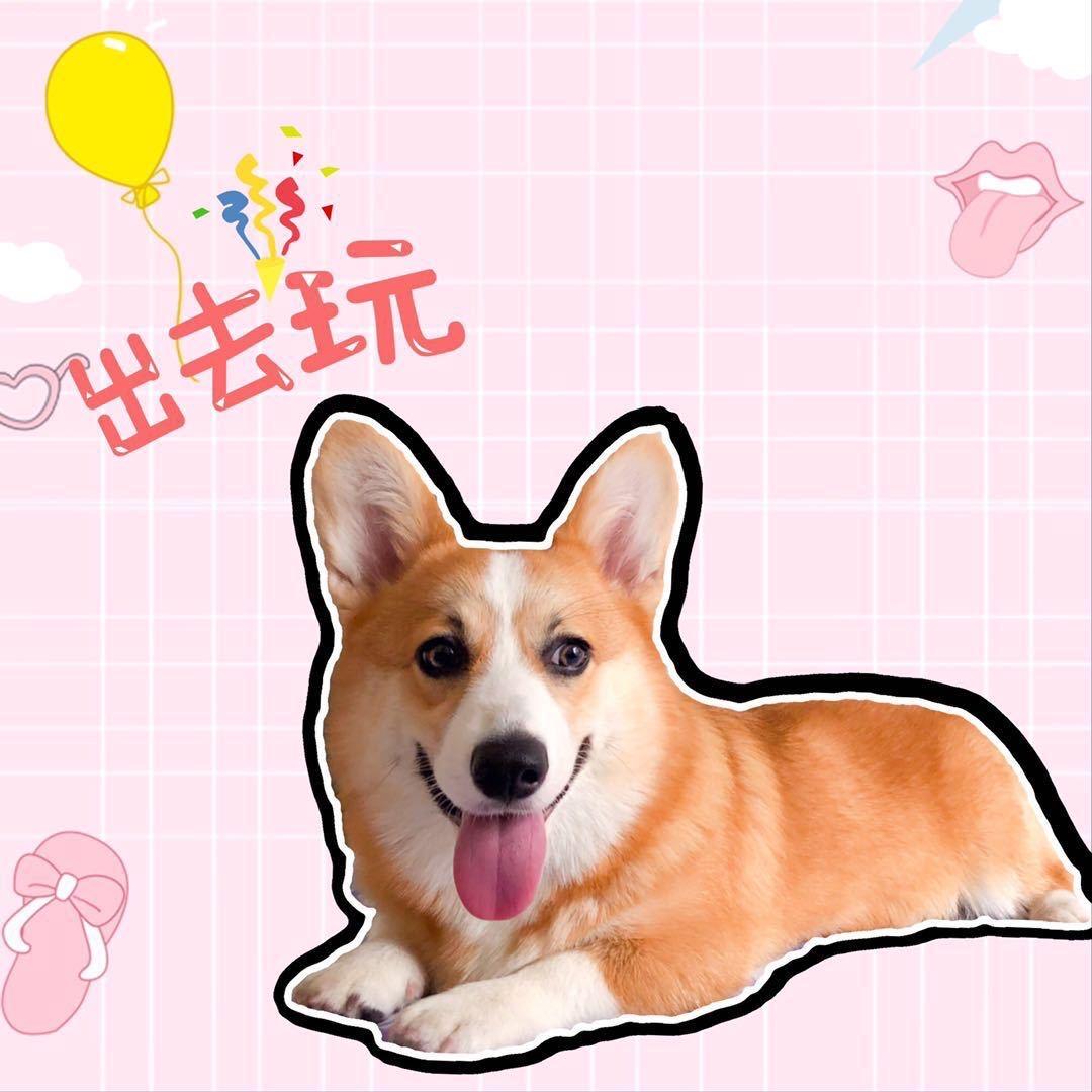 佛系短腿吴所谓@抖音