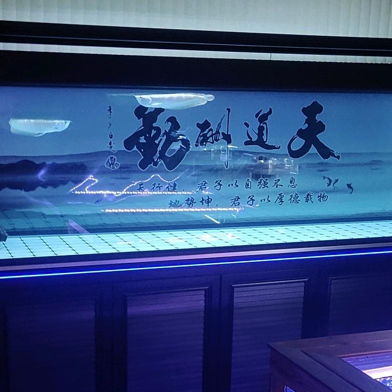 卖鱼的强哥