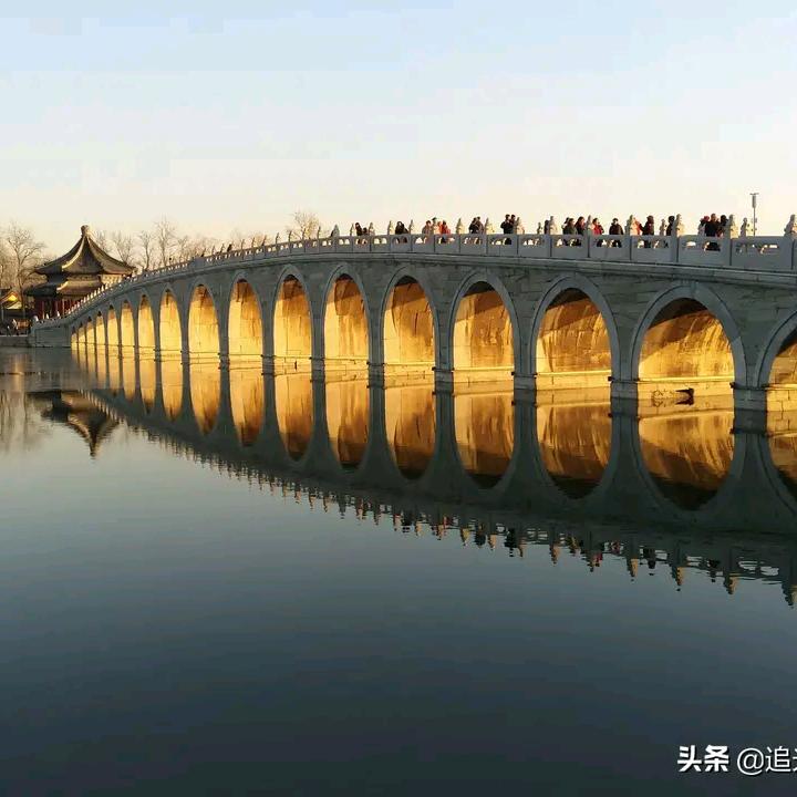 小灰灰的光辉