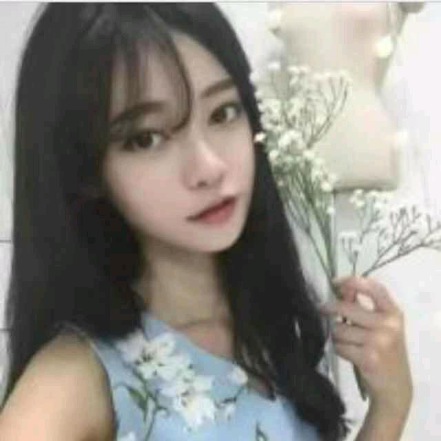 燕子、