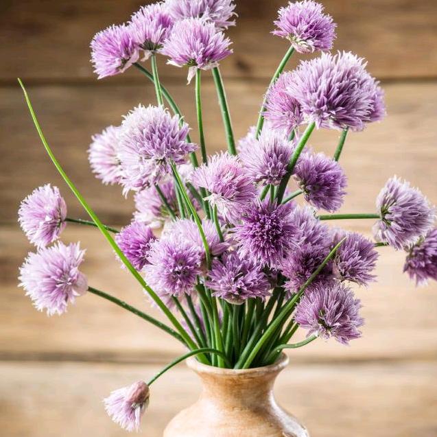 拥🍀有🌴一切🌾