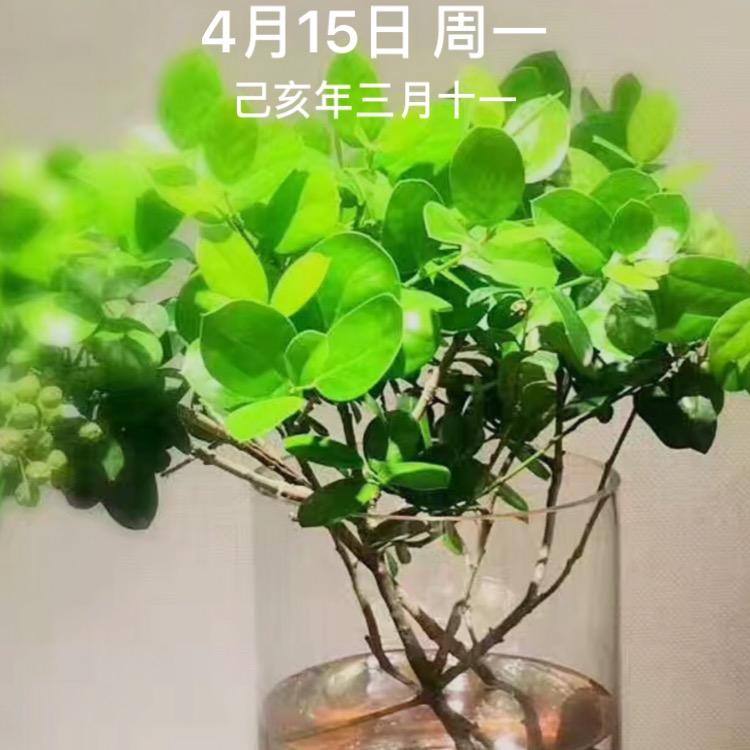 李秀梅拒绝男士合拍