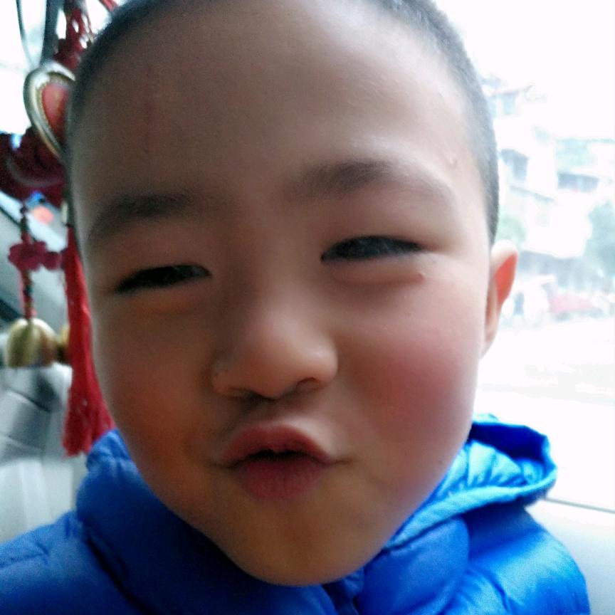 王家豪