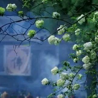 趙記脆皮鮮肉雞蛋堡