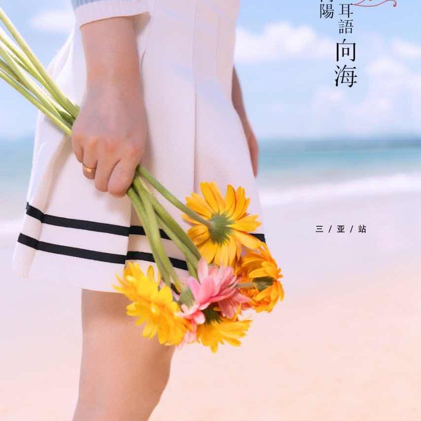 晓晓晓